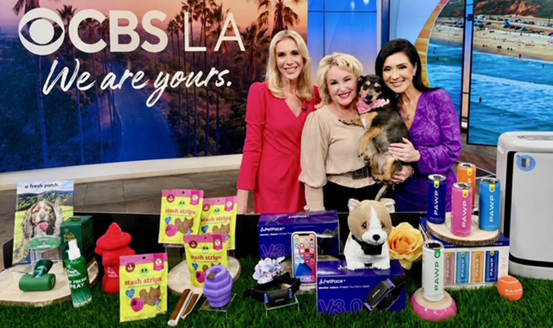 Celebrating National Adopt a Shelter Pet Day Gifts